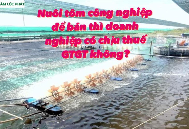 Nuôi tôm công nghiệp để bán thì doanh nghiệp có chịu thuế giá trị gia tăng hay không?