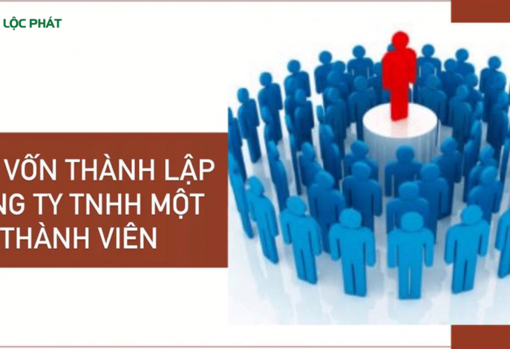 Việc góp vốn thành lập công ty TNHH một thành viên năm 2023 được quy định thế nào?