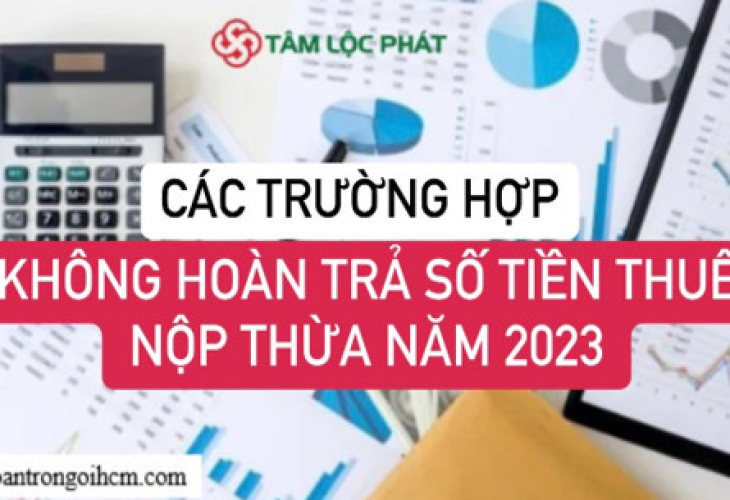 Các trường hợp không hoàn trả số tiền thuế nộp thừa năm 2023