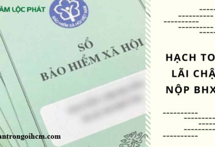 Hạch toán lãi chậm nộp bảo hiểm xã hội vào tài khoản nào?