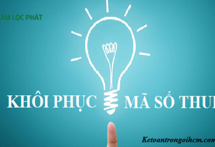 Cách Khôi Phục Mã Số Thuế Của Doanh Nghiệp 2023